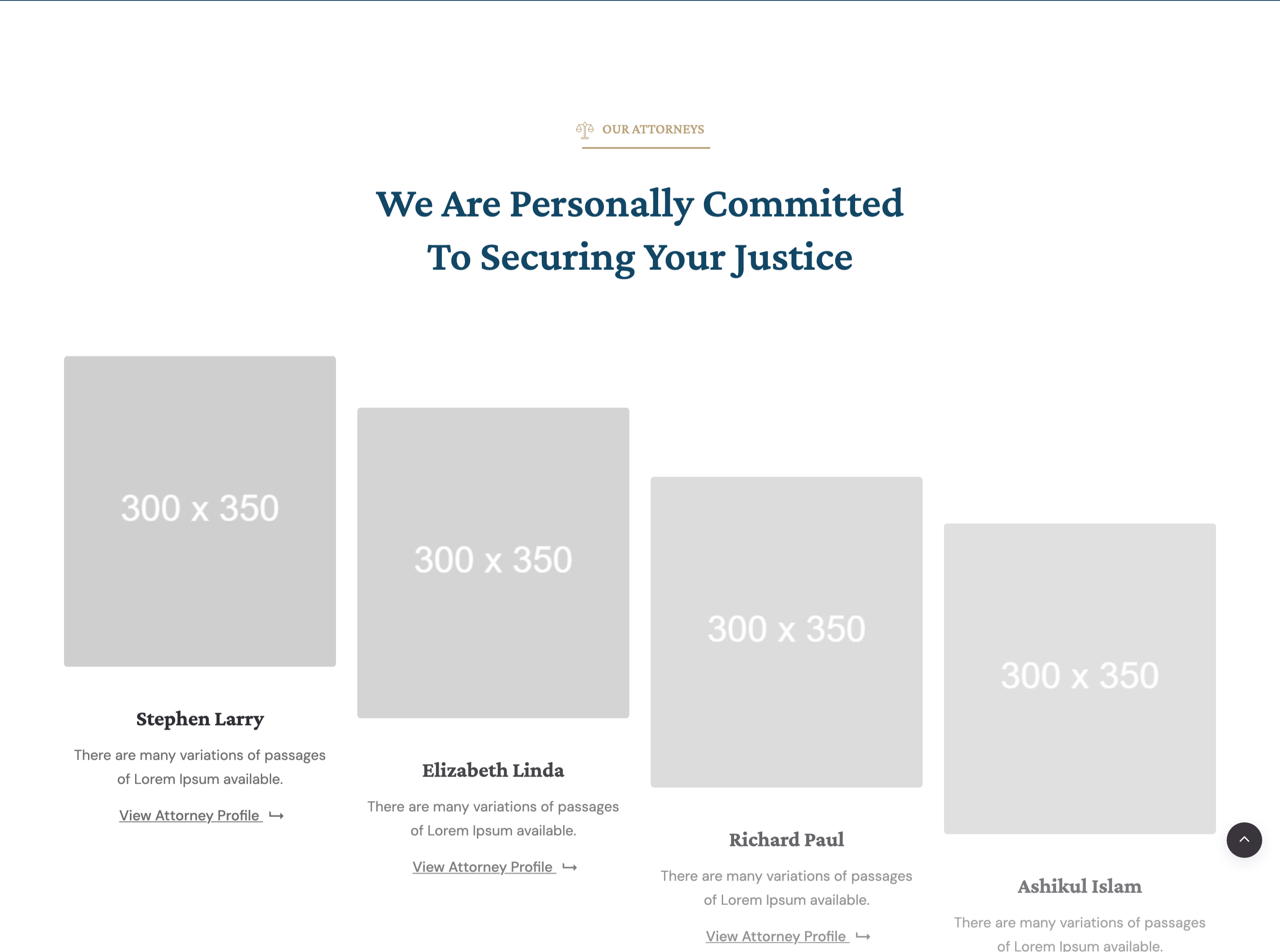 attorneys-team